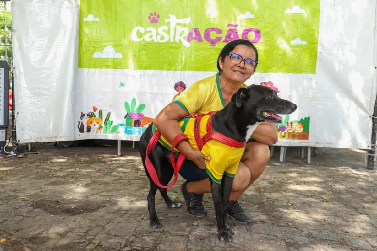 Castração gratuita de cães e gatos chega a Igarassu e Garanhuns em junho