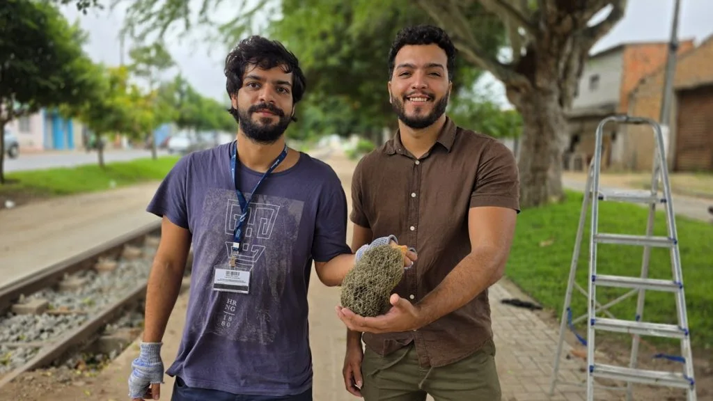 Arapiraca instala bioindicadores de qualidade do ar em parceria com a USP