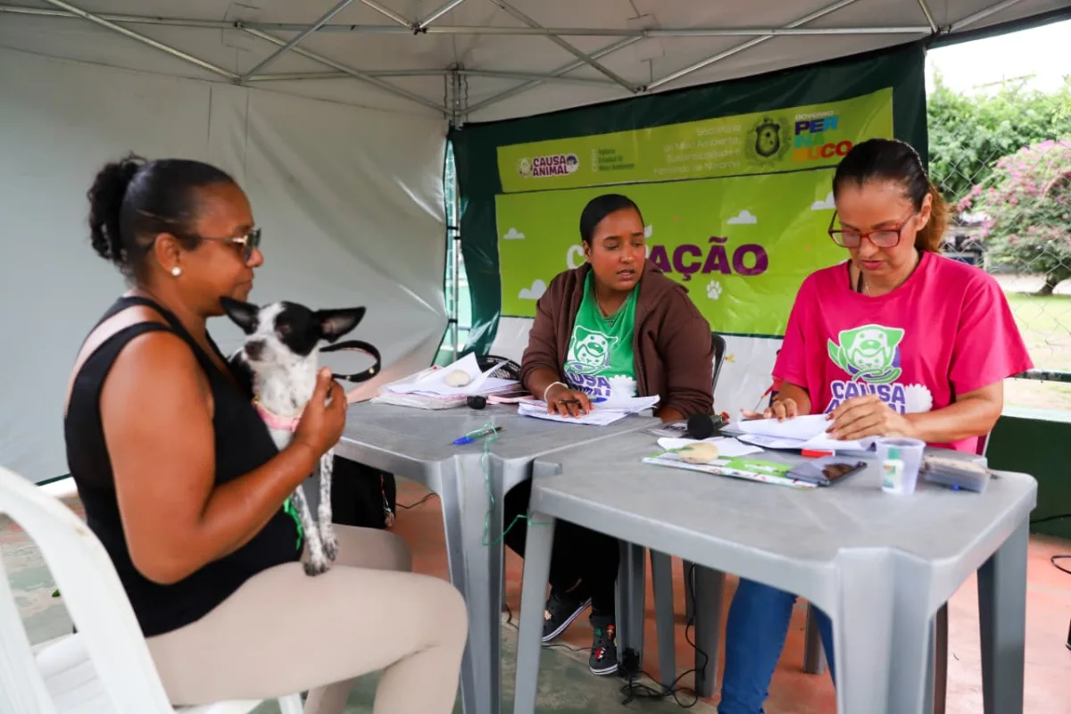 Recife recebe castração gratuita de pets com mais de 200 atendimentos por dia no Derby