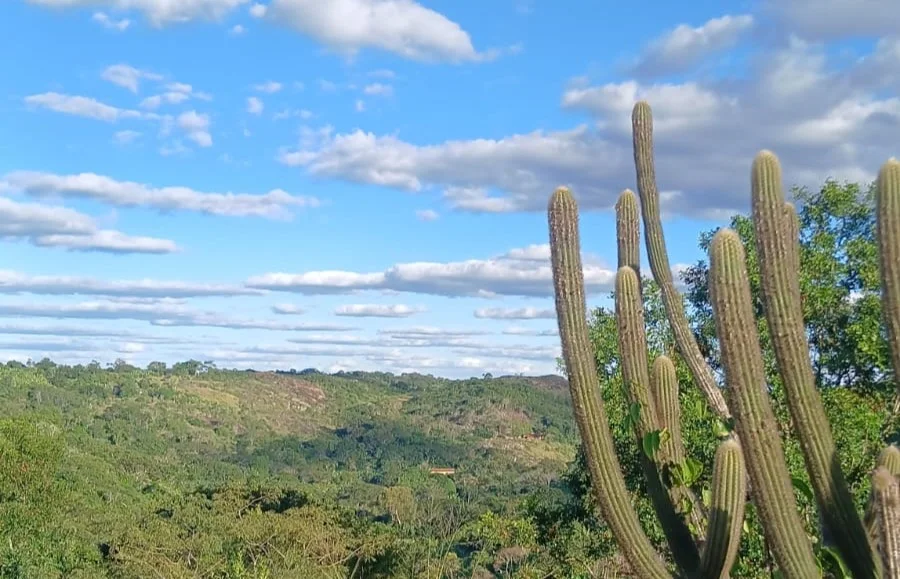 Pernambuco realiza consultas públicas para criar seis novas áreas protegidas na Caatinga em junho
