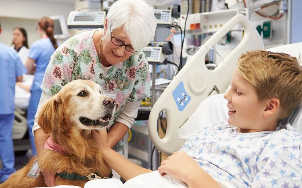 Assembleia aprova terapia assistida por animais para pacientes em Sergipe