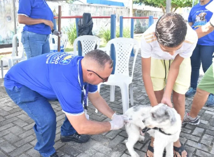 Vacina antirrábica gratuita para cães e gatos começa sábado (27) em São Gonçalo do Amarante