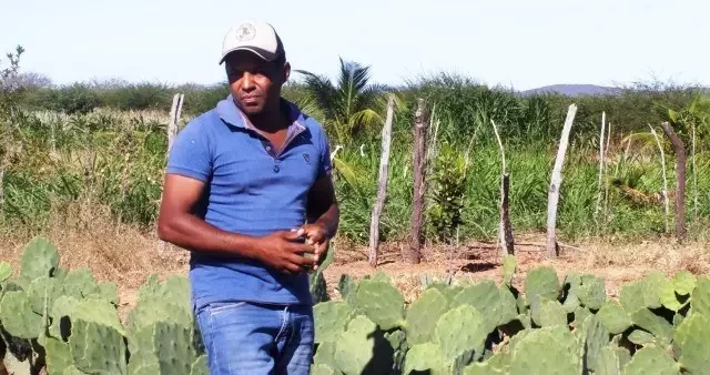 Petrolina fortalece agricultura familiar com programas Palma da Gente e Terra Forte